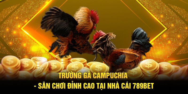 trường gà campuchia 789bet